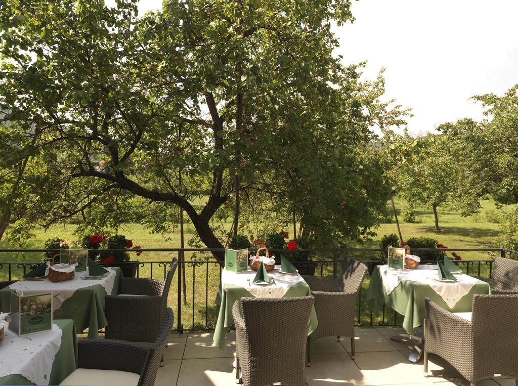 Donauhof - Hotel Garni Weissenkirchen in der Wachau Exteriér fotografie