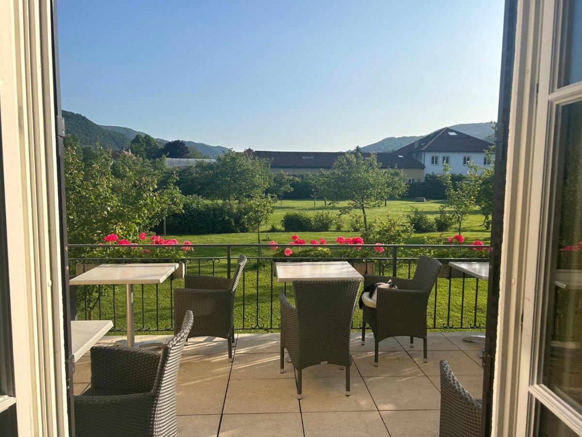 Donauhof - Hotel Garni Weissenkirchen in der Wachau Exteriér fotografie