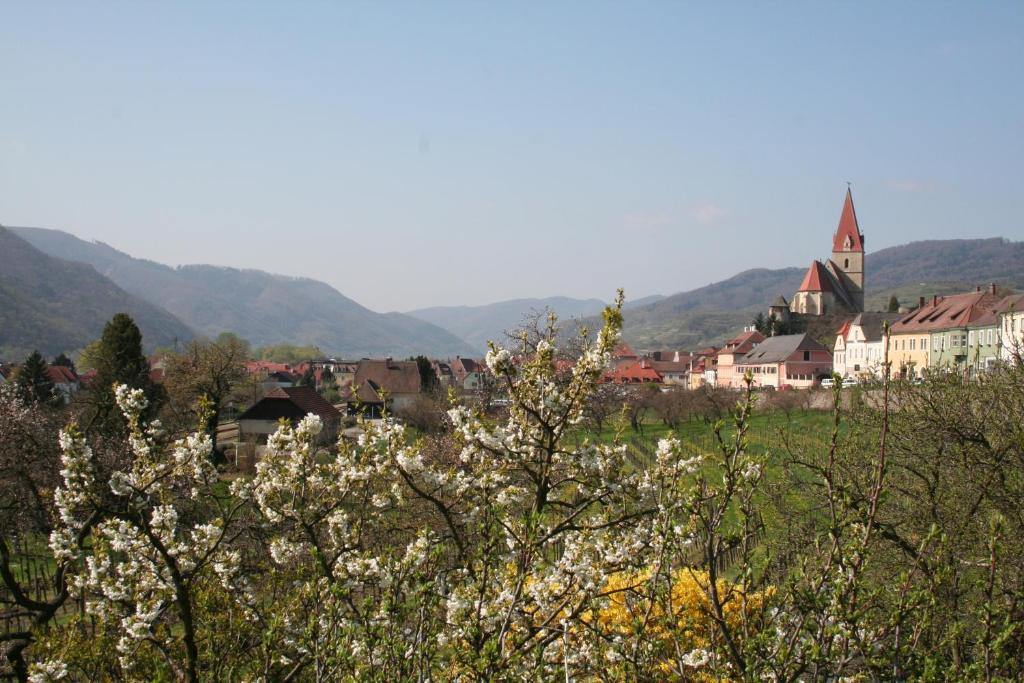Donauhof - Hotel Garni Weissenkirchen in der Wachau Exteriér fotografie